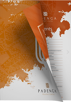 Padenga Holdings Limited Annual Report visual for 2018