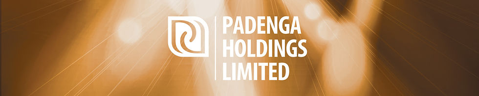A hand holding a peice of gold. The Padenga Logo, and another hand holding a baby Nile Crocodile