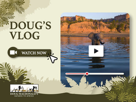 Doug's Vlog Cover Image