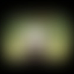 The Heart of the Leylines