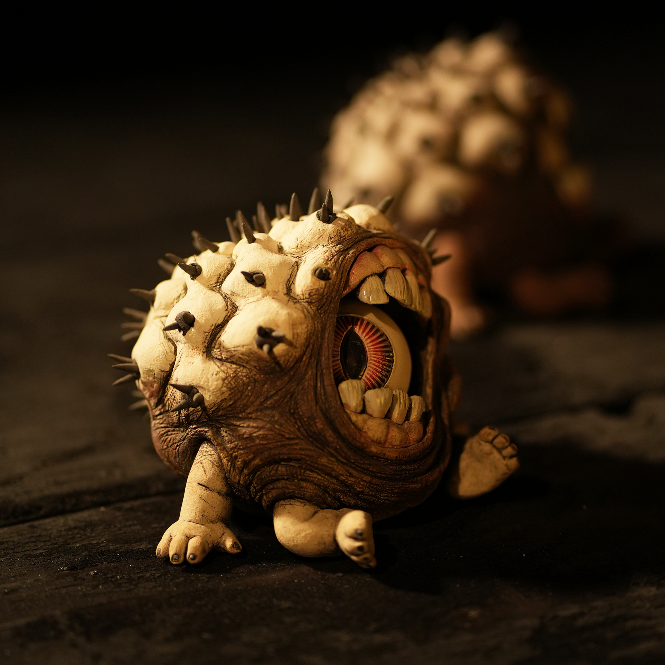 Big Mouth Copiapoa Cinerea