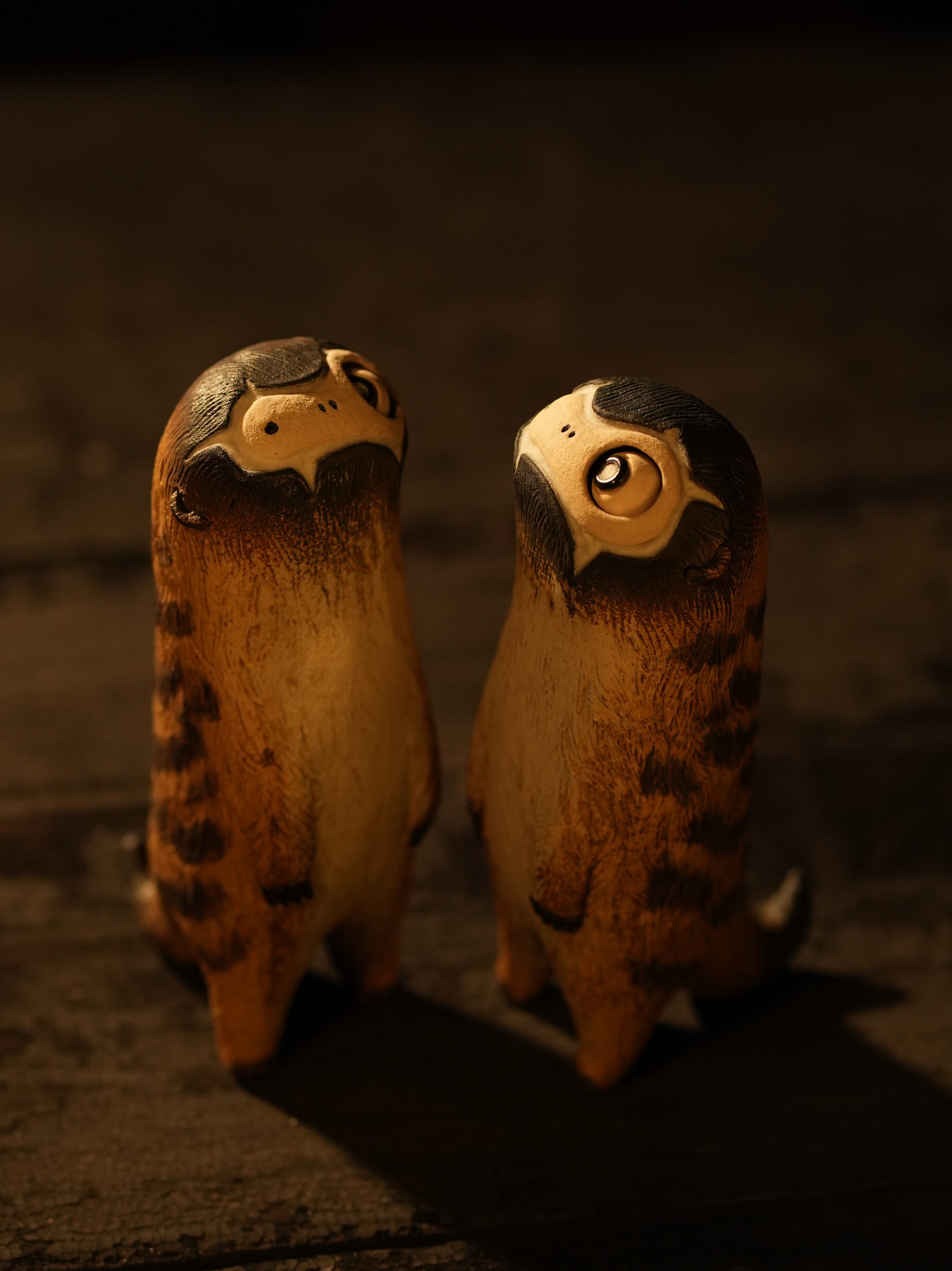 Mo-Moo mal — Meerkat