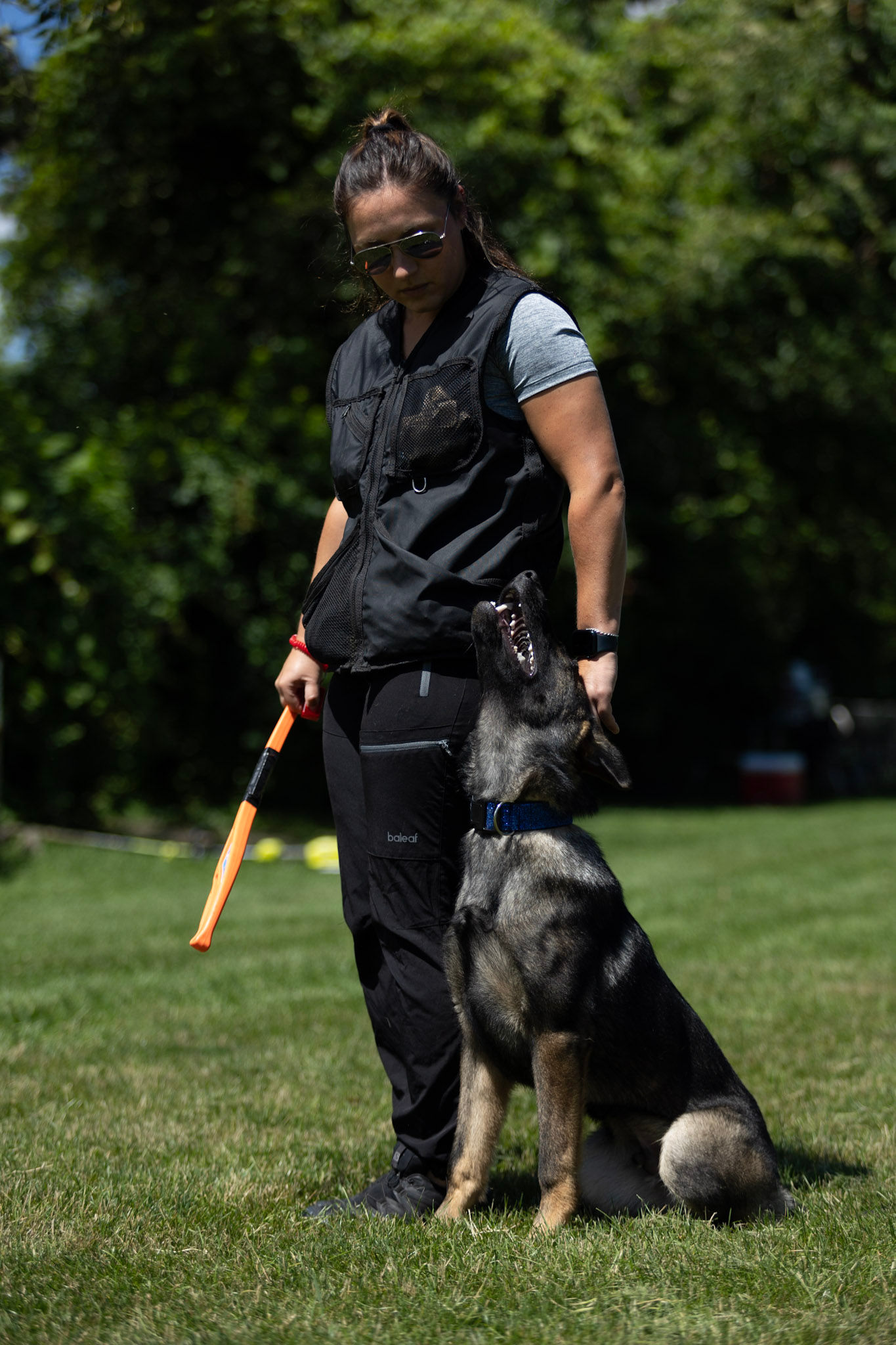 4x Hour Semi-Private (On Site). Priced per person