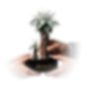 Diseño sin título (41).png