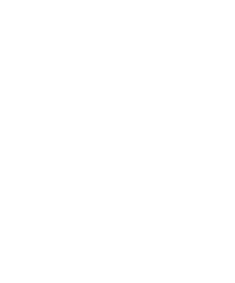 Fellipe Striking