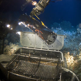 5 Ocean Exploration Projects Expanding Our Understanding of the Deep Sea