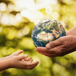 Sustainable Living Ideas: Simple Steps Toward a Greener Future