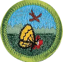 Nature Merit Badge