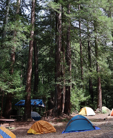 Boulder Creek Tents in Campsite.JPG