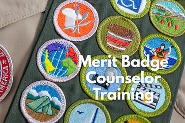 MBC Training.png