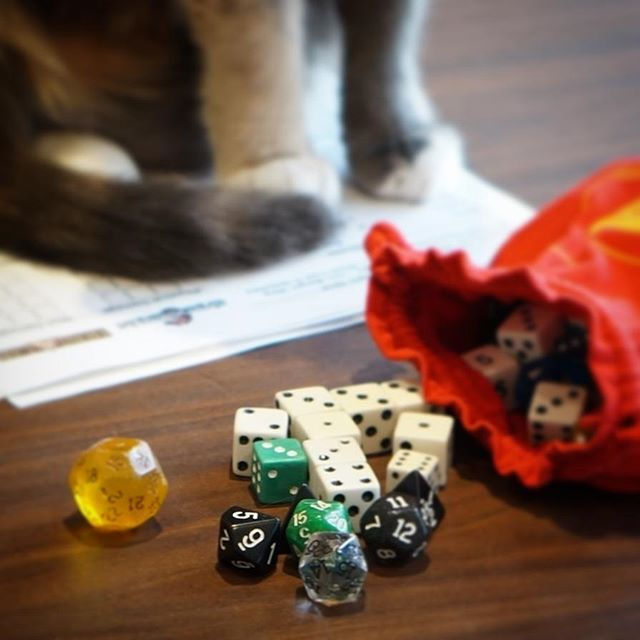 Kittyninja does not like dice