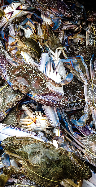 product_crabmeat_img.png