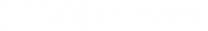 RIB BuilsSmart Logo
