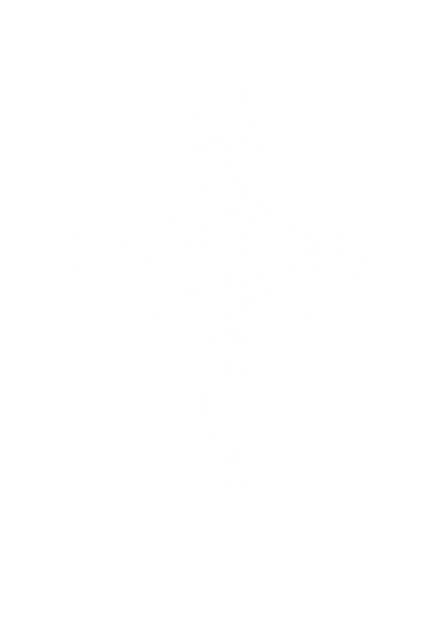 Untitled_Artwork (8).png