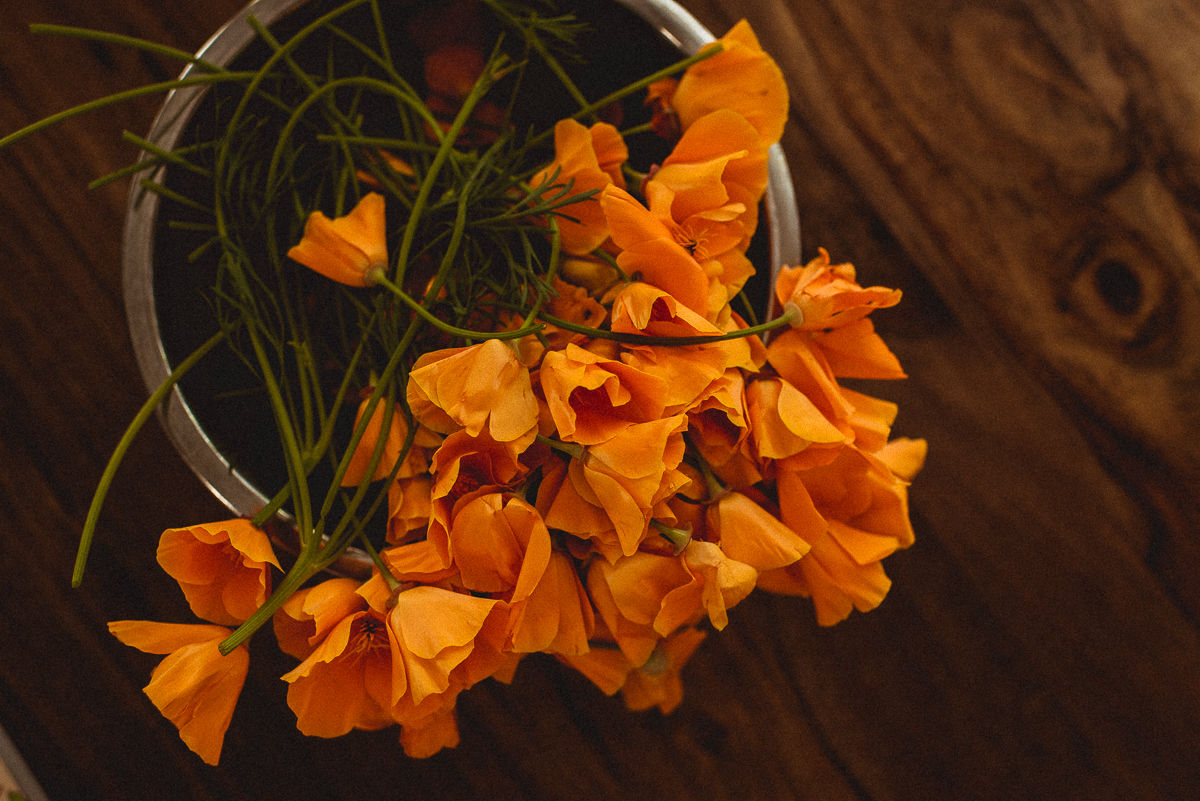 California Poppy Tincture - Pain, Nervous system + PTSD support