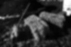 Charcoal of Cyprus