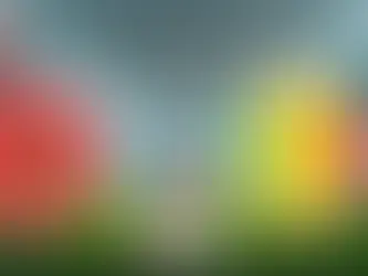 Morocco vs Mali AFCON 2025 Preview and prediction