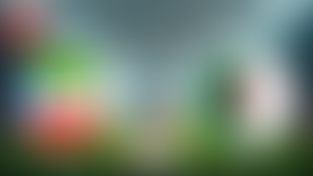 Equatorial Guinea vs Algeria AFCON