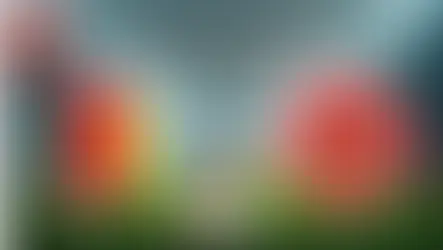 CAMEROON VS MOROCCO AFCON PREVIEW AND PREDICTION