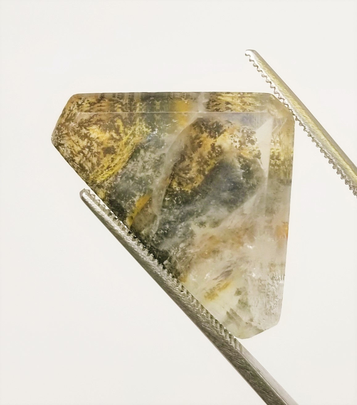 Dendritic Quartz 24.77 ct