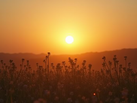 Discover Divine Authority in the Phoenix Life Series