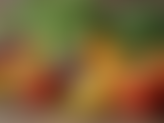 Understanding Digestive Health and Its Importance