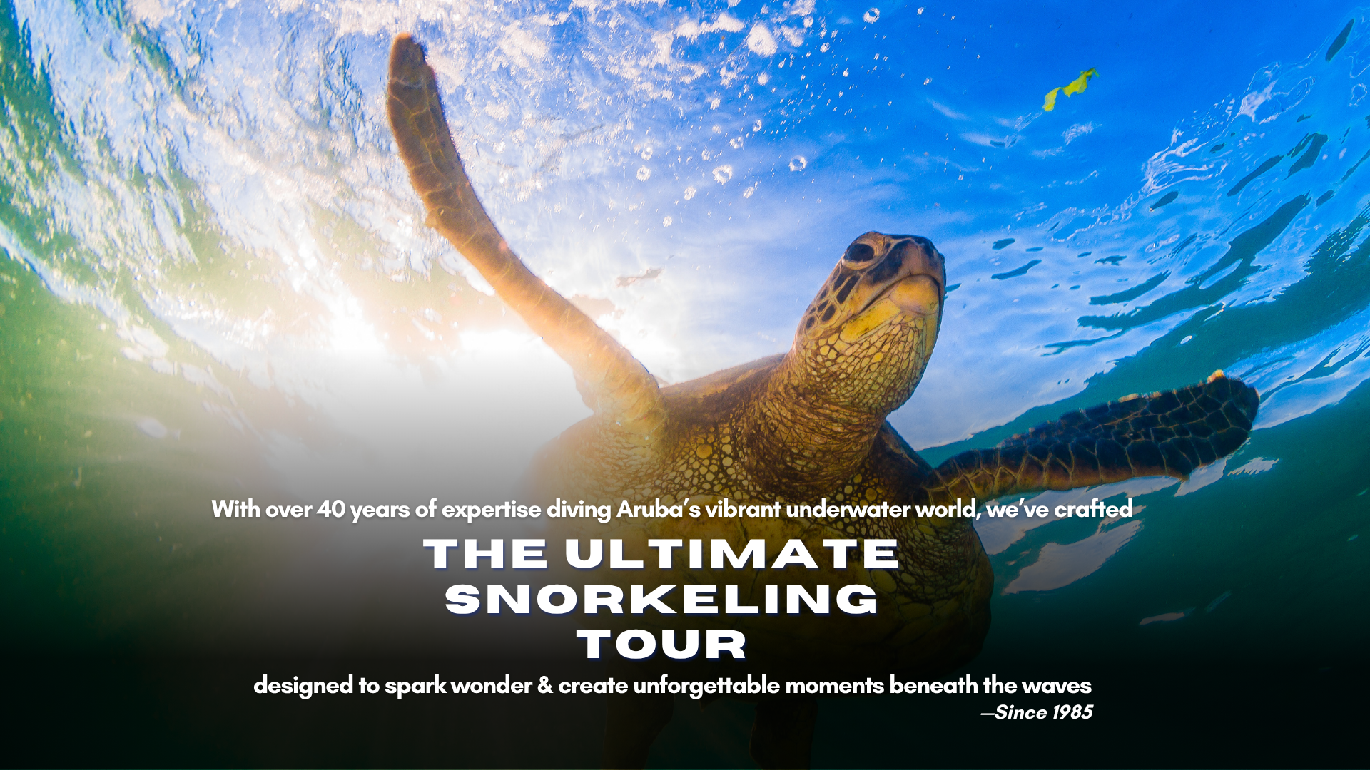 Aruba Snorkeling Pic Set Landscape (3).png