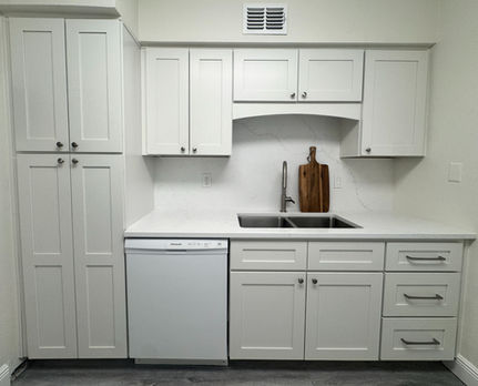 The Condo Project - Kitchen Renovation