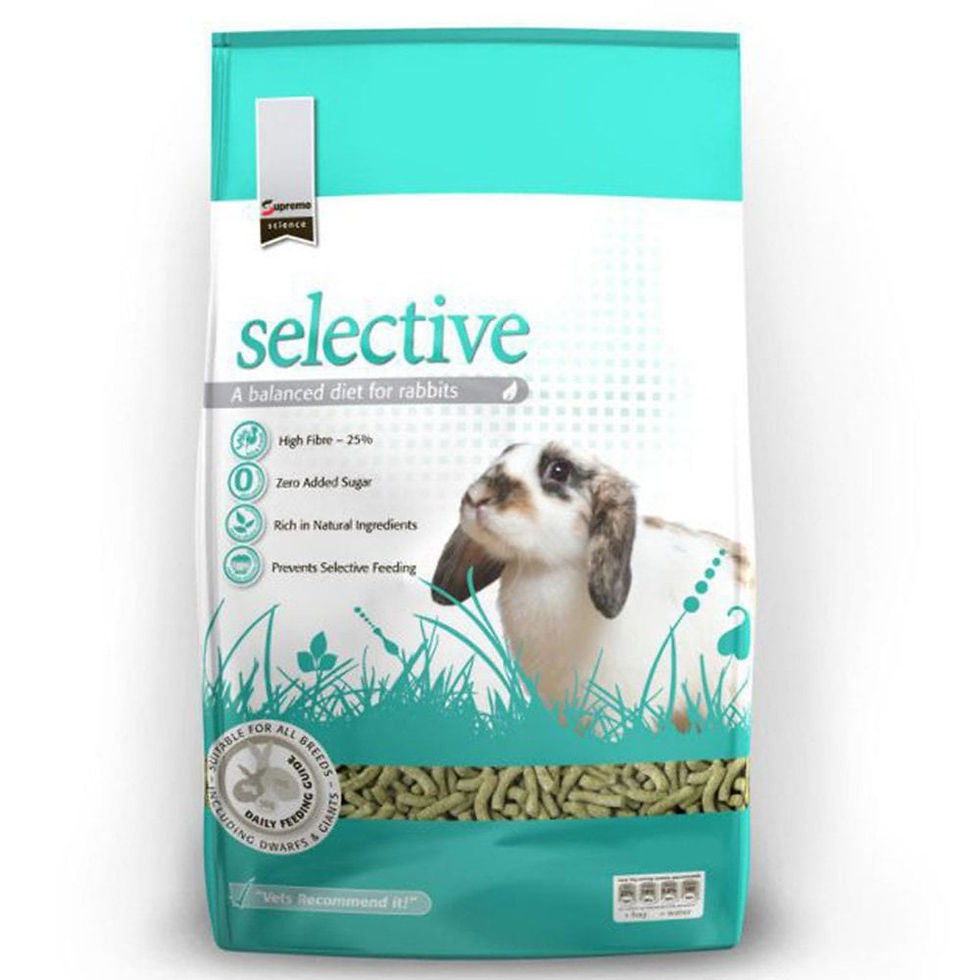 Pellets-What You Need To Know: Explained! 