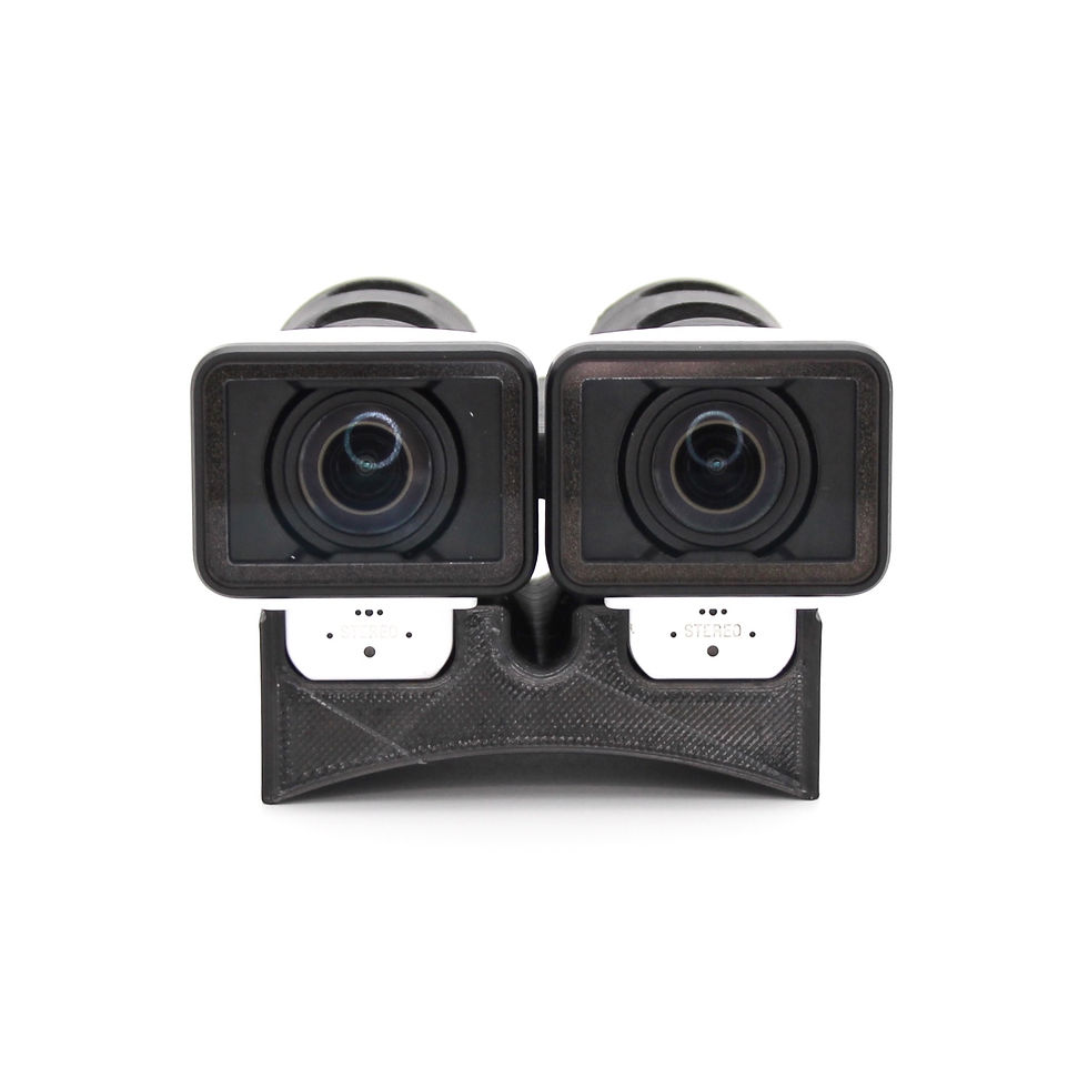 Thumbnail: Dual LoProMoFos: 2 x Sony X3000 w. Rear Plug Protection