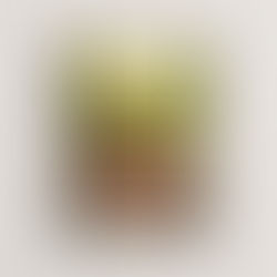 A Photo of Dave Tipper from The Rendezvous, 2024  printed and framed.