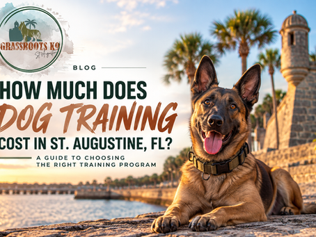 How Much Does Dog Training Cost in St. Augustine, FL? A Guide to Choosing the Right Training Program