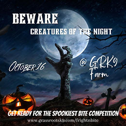 2nd Annual Fright 'N Bite