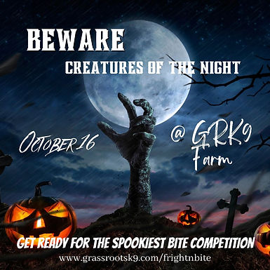 2nd Annual Fright 'N Bite