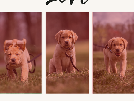 The Ultimate Valentine’s Day Gift Is Freedom