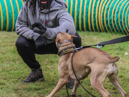 Vancouver Seminar With Outlaw K9