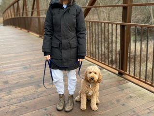 Congratulation to Georgina's GRK9 of the Month