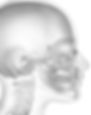 chir ortho.jpg
