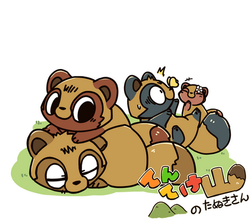 たぬきさん　見本