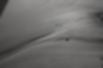 DSC02811.JPG