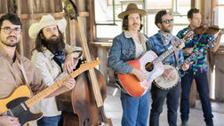 The Brothers Comatose