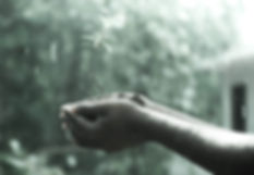 hands holding a plant in rain, hope, seed - image found in Arise & Shine Arts and Entertainment (ASAE) Christian Community helping emerging artists and creatives by providing ministry, education and resources.