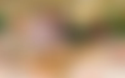 What Are the Necessary Certifications for TEFL Teachers to Teach English in Russia and How to Succeed Without Them