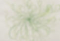 unnamed_edited.jpg
