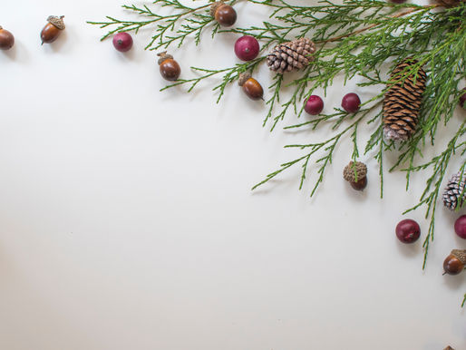 December Latitudinarian is here!