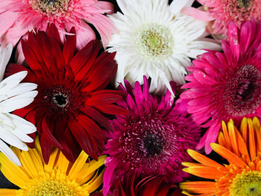 5/9 All Ages Sunday Services