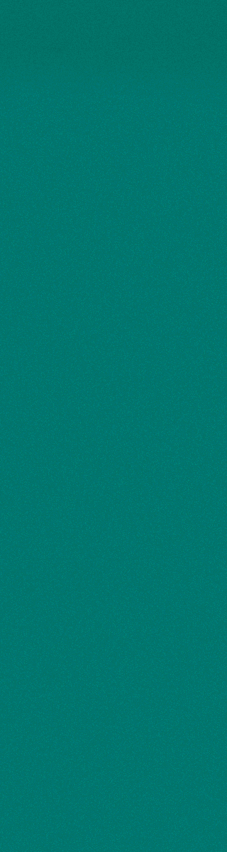 160x600_MogoBanner_NEW.gif
