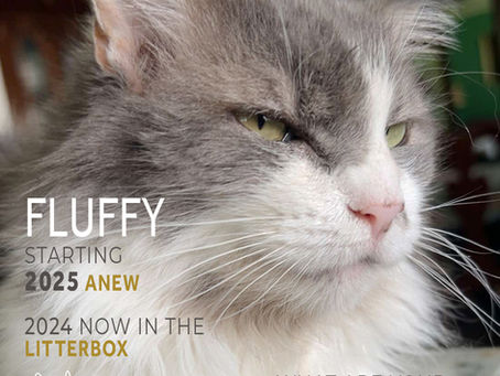 Feline Magazine Issue 9