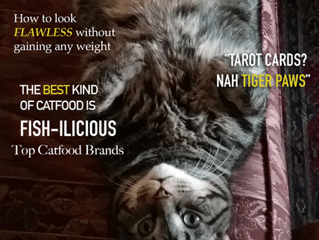 FELINE Magazine Issue 3