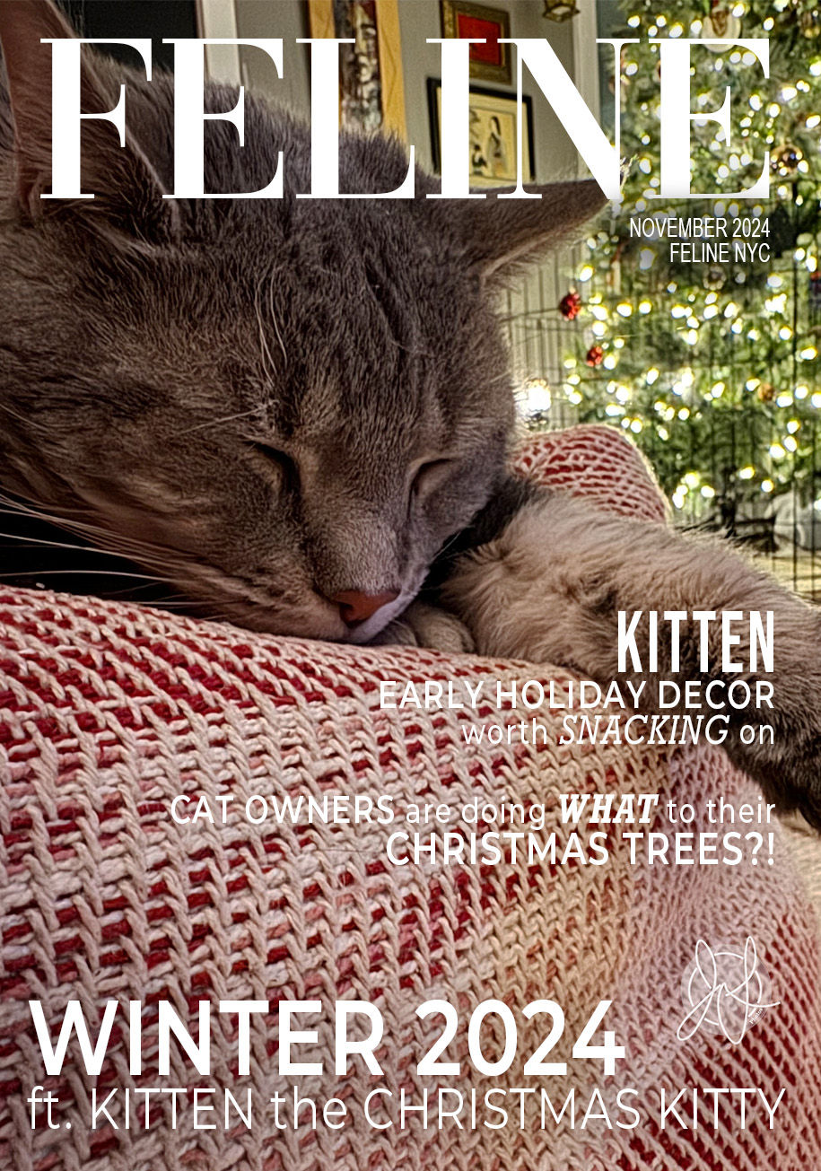 Feline Magazine Issue 8